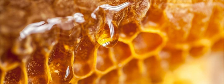 Cómo se recolecta la miel de la colmena MAES HONEY