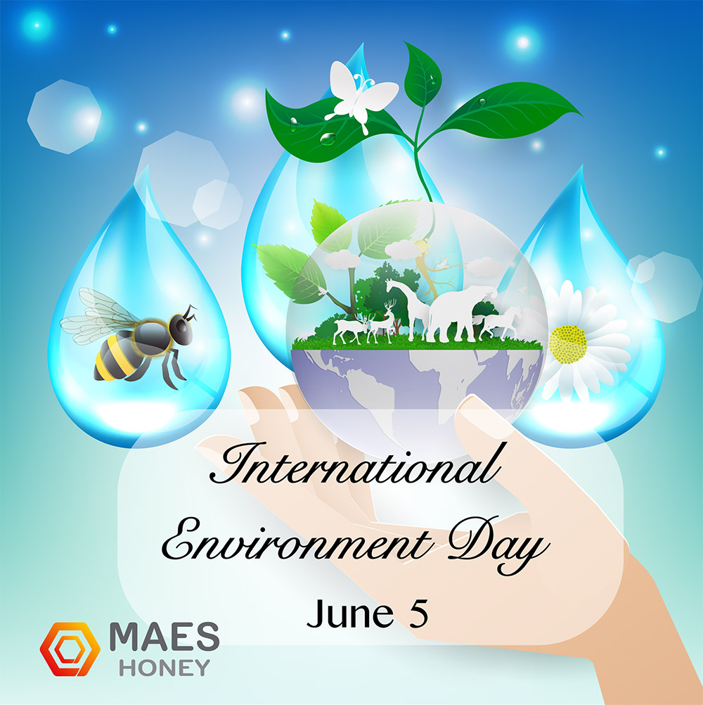 International Environment Day | Maes Honey