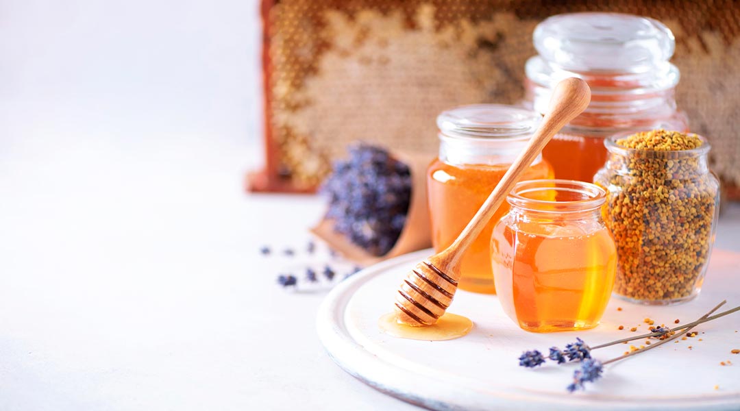 Differences between light and honey - MAES HONEY