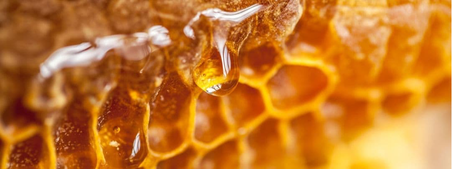 ¿Por qué elegir a Maes Honey como tu empresa de exportación de miel de confianza?